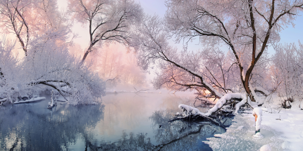 winterlandschap winterlandschap