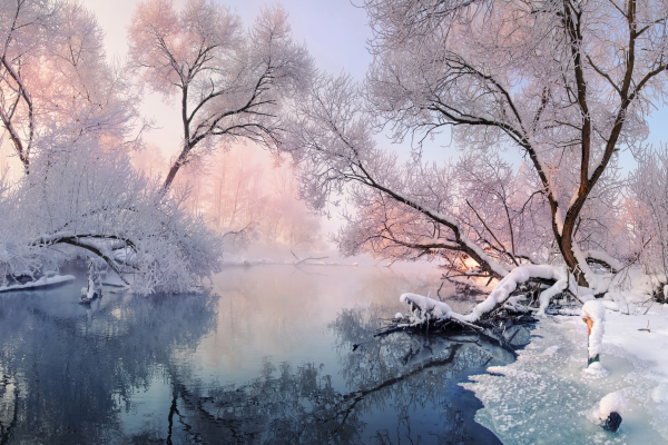 winterlandschap winterlandschap